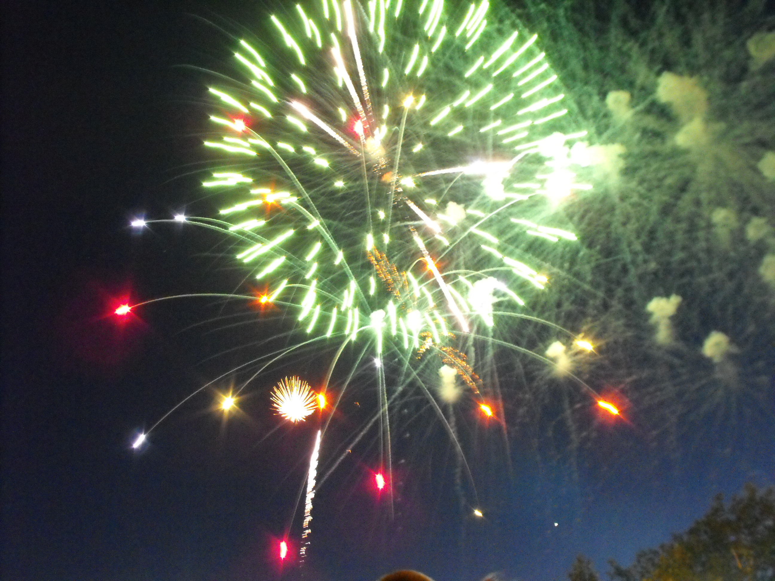 ./2010/Fourth of July/4th July Fireworks Wilm 0011.JPG